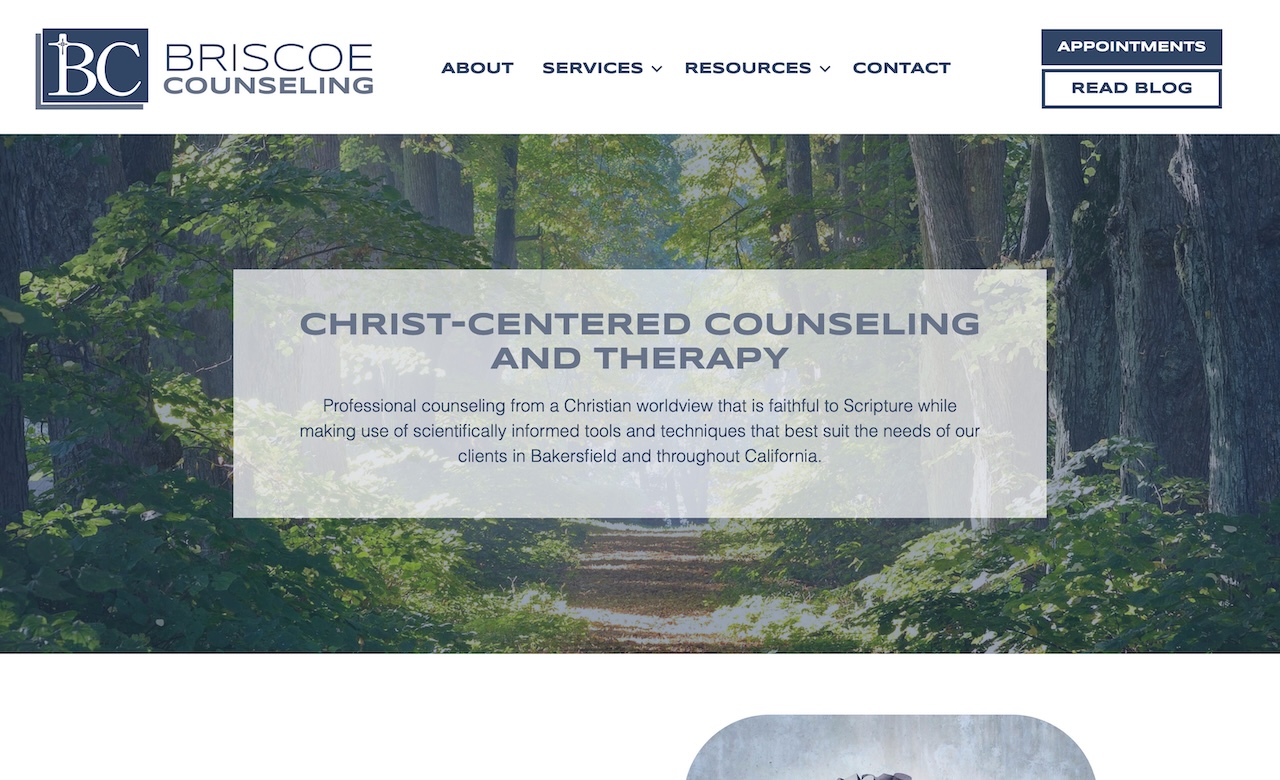 Briscoe Counseling