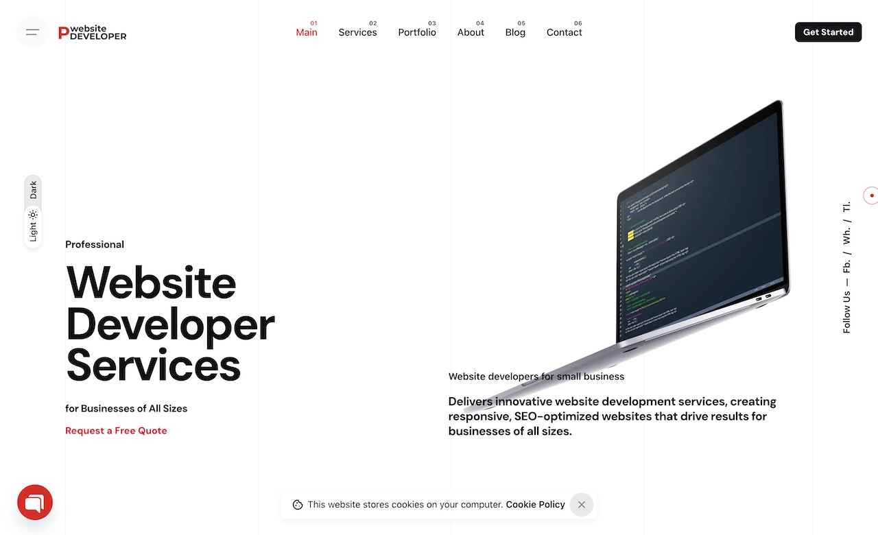 Pro Website Developer